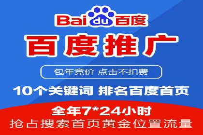 百度竞价代理的运营策略与成功案例分析
